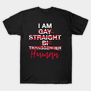 I am Human Gay Straight Bi Trans World Human Rights Day T-Shirt